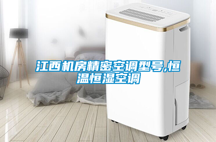 国产精品三级在线观看 江西机房精密空调型号,恒温恒湿空调