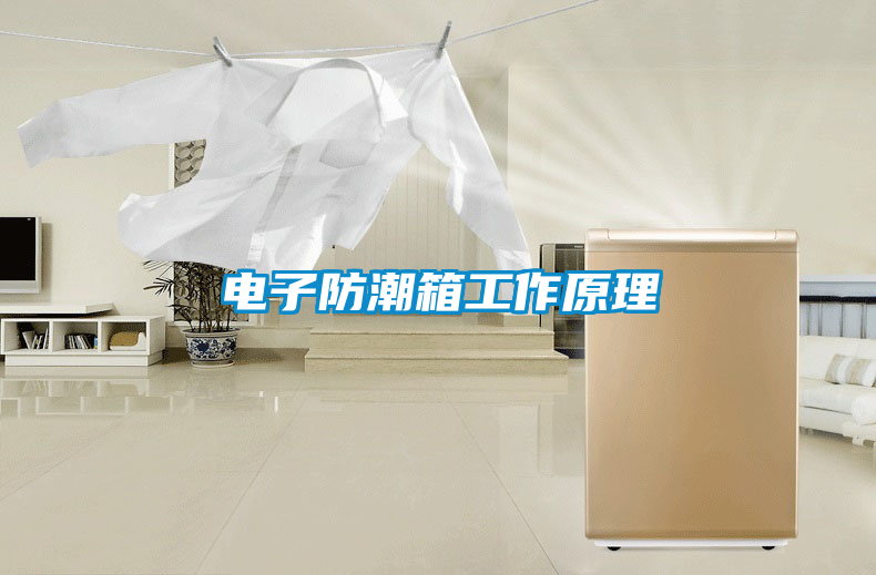 国产精品欧美激情视频 电子防潮箱工作原理
