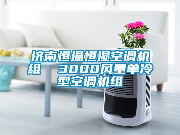 国产精品三级在线观看 济南恒温恒湿空调机组  3000风量单冷型空调机组