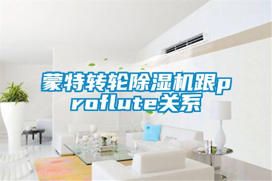 国产精品欧美激情视频 蒙特转轮除湿机跟proflute关系