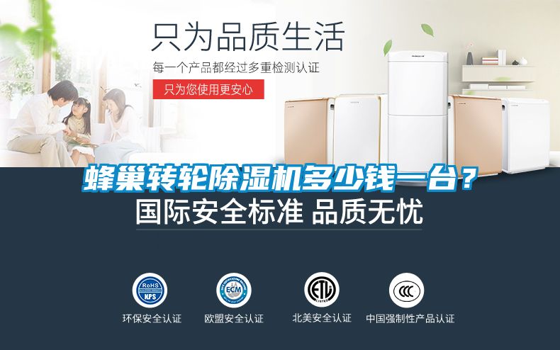国产精品三级在线观看 蜂巢转轮除湿机多少钱一台？