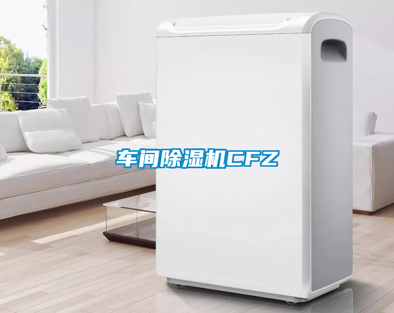 国产精品探花在线观看 车间除湿机CFZ