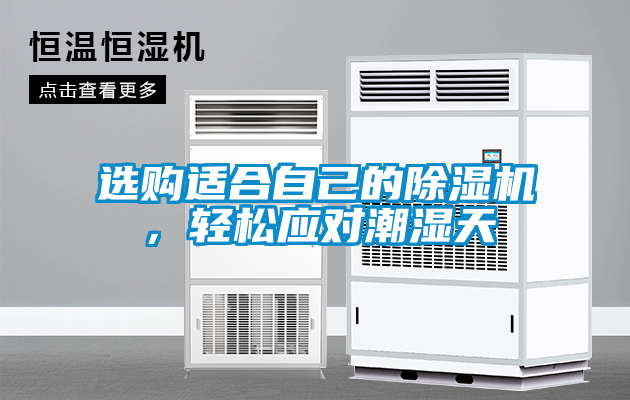 国产精品探花在线观看 选购适合自己的除湿机，轻松应对潮湿天