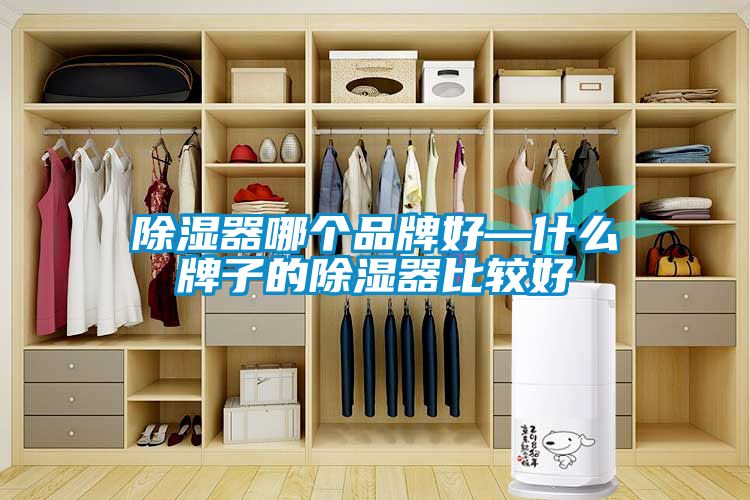 国产精品欧美激情视频 除湿器哪个品牌好—什么牌子的除湿器比较好
