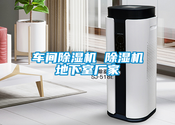 国产精品探花在线观看 车间除湿机 除湿机地下室厂家
