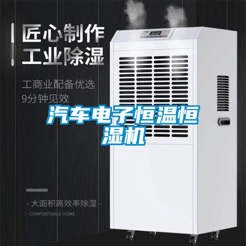 国产精品探花在线观看 汽车电子恒温恒湿机
