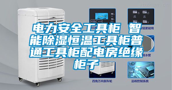 国产精品探花在线观看 电力安全工具柜 智能除湿恒温工具柜普通工具柜配电房绝缘柜子