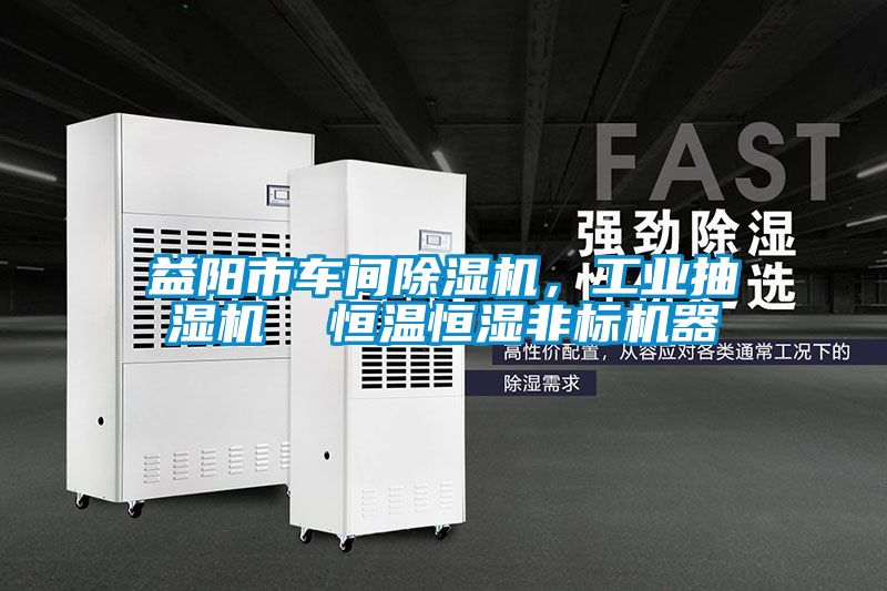 国产精品三级在线观看 益阳市车间除湿机，工业抽湿机  恒温恒湿非标机器
