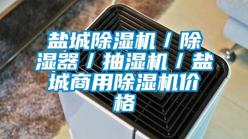 国产精品欧美激情视频 盐城除湿机／除湿器／抽湿机／盐城商用除湿机价格