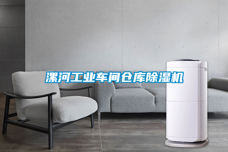 国产精品探花在线观看 漯河工业车间仓库除湿机