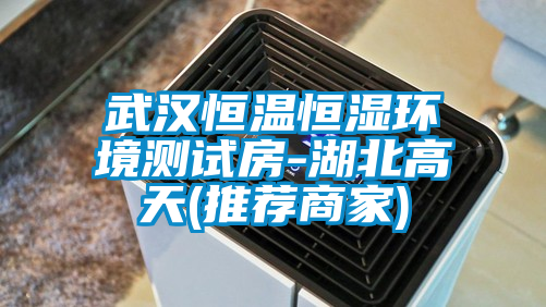 国产精品欧美激情视频 武汉恒温恒湿环境测试房-湖北高天(推荐商家)