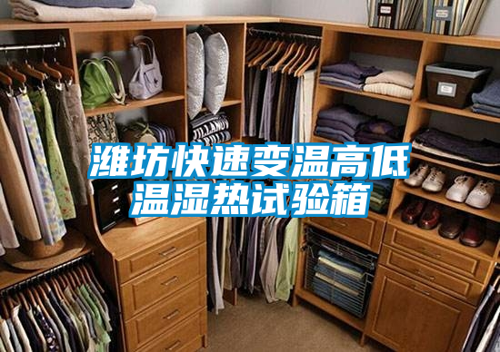 国产精品探花在线观看 潍坊快速变温高低温湿热试验箱