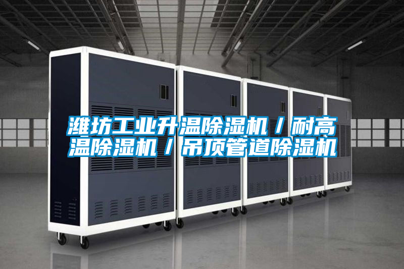 国产精品探花在线观看 潍坊工业升温除湿机／耐高温除湿机／吊顶管道除湿机