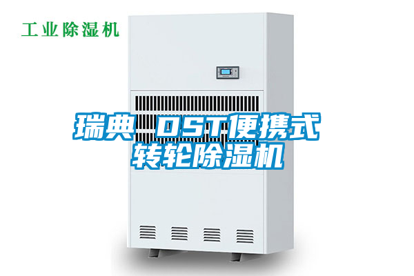 国产精品欧美激情视频 瑞典 DST便携式 转轮除湿机
