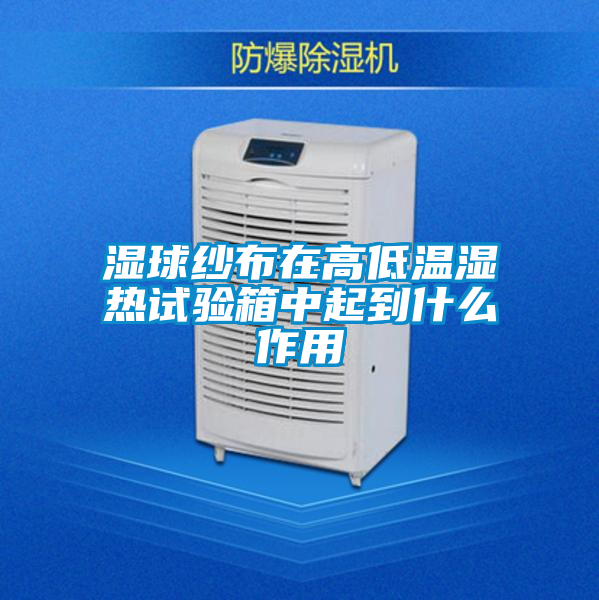 国产精品三级在线观看 湿球纱布在高低温湿热试验箱中起到什么作用