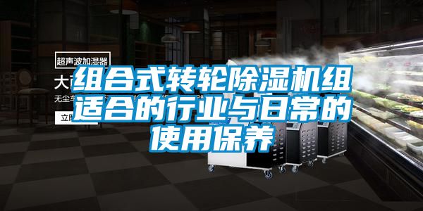 国产精品探花在线观看 组合式转轮除湿机组适合的行业与日常的使用保养
