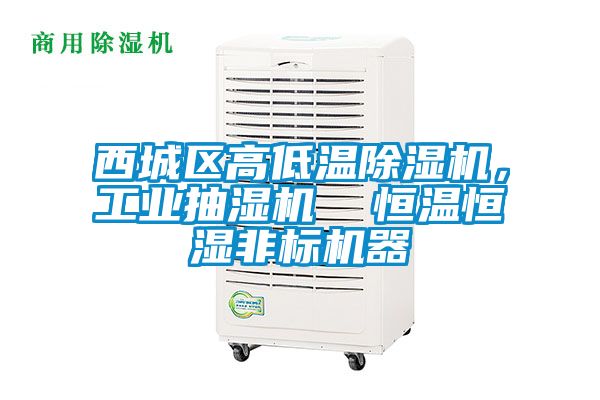 国产精品欧美激情视频 西城区高低温除湿机，工业抽湿机  恒温恒湿非标机器