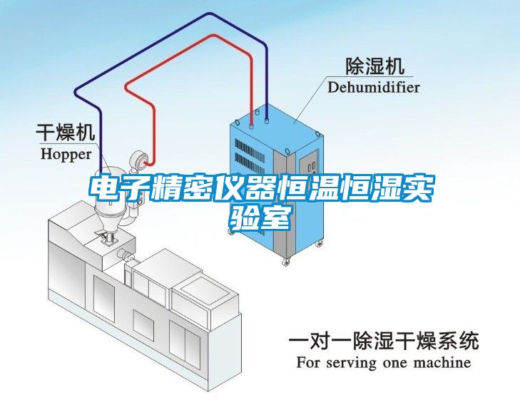 国产精品三级在线观看 电子精密仪器恒温恒湿实验室