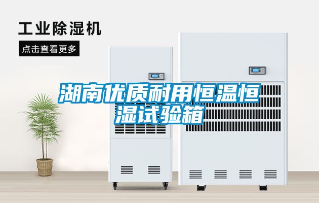 国产精品三级在线观看 湖南优质耐用恒温恒湿试验箱