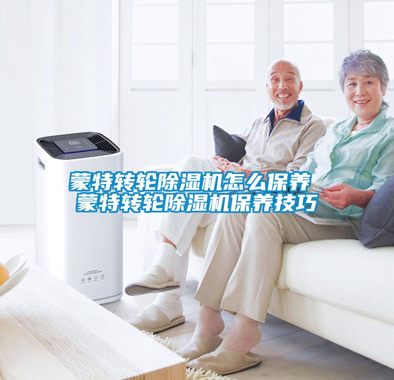 国产精品欧美激情视频 蒙特转轮除湿机怎么保养 蒙特转轮除湿机保养技巧