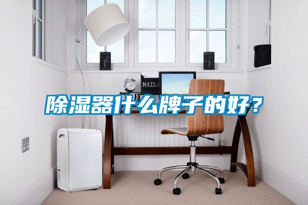 国产精品欧美激情视频 除湿器什么牌子的好？
