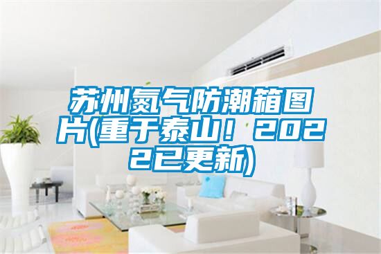 国产精品欧美激情视频 苏州氮气防潮箱图片(重于泰山！2022已更新)