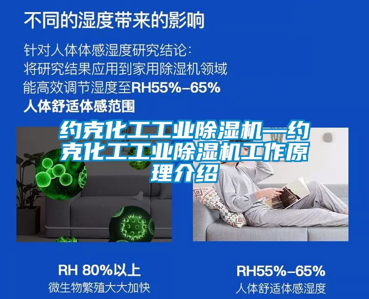 国产精品欧美激情视频 约克化工工业除湿机—约克化工工业除湿机工作原理介绍