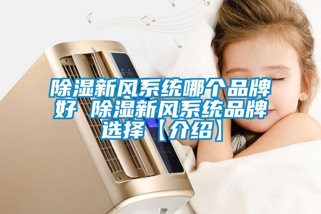 国产精品欧美激情视频 除湿新风系统哪个品牌好 除湿新风系统品牌选择【介绍】