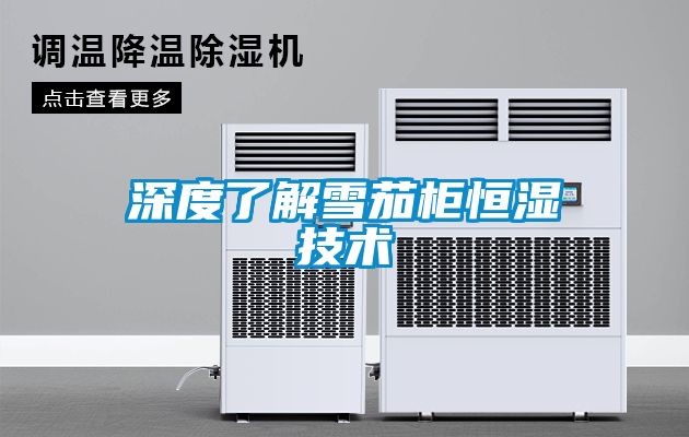 国产精品欧美激情视频 深度了解雪茄柜恒湿技术