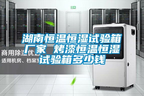 国产精品三级在线观看 湖南恒温恒湿试验箱厂家 烤漆恒温恒湿试验箱多少钱