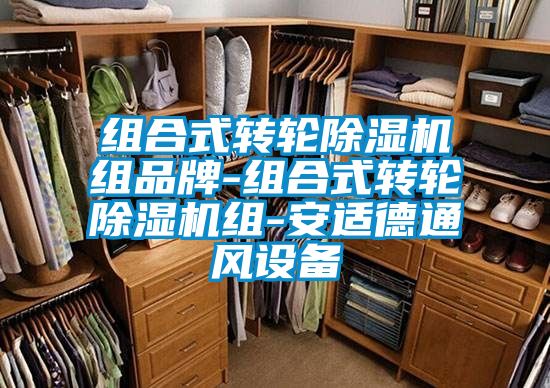 国产精品三级在线观看 组合式转轮除湿机组品牌-组合式转轮除湿机组-安适德通风设备