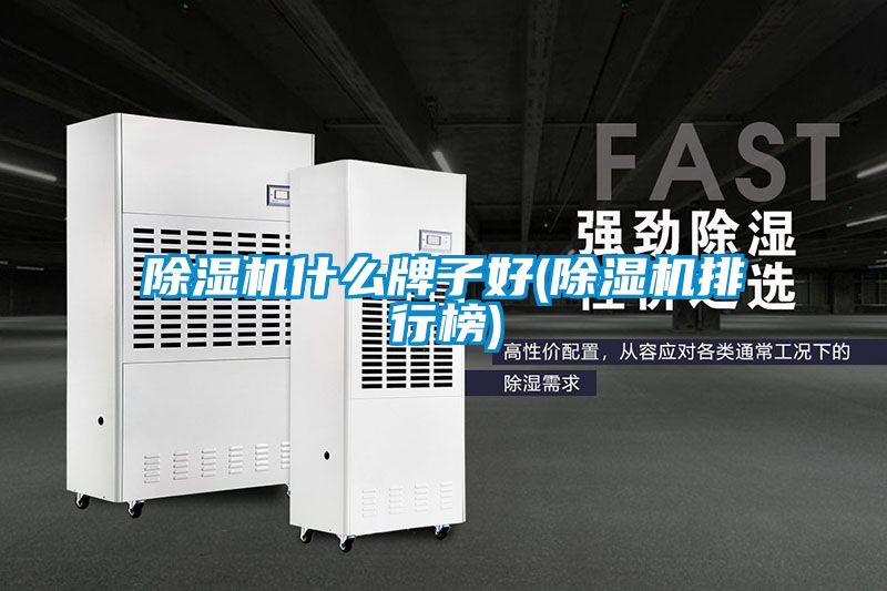 国产精品三级在线观看 除湿机什么牌子好(除湿机排行榜)