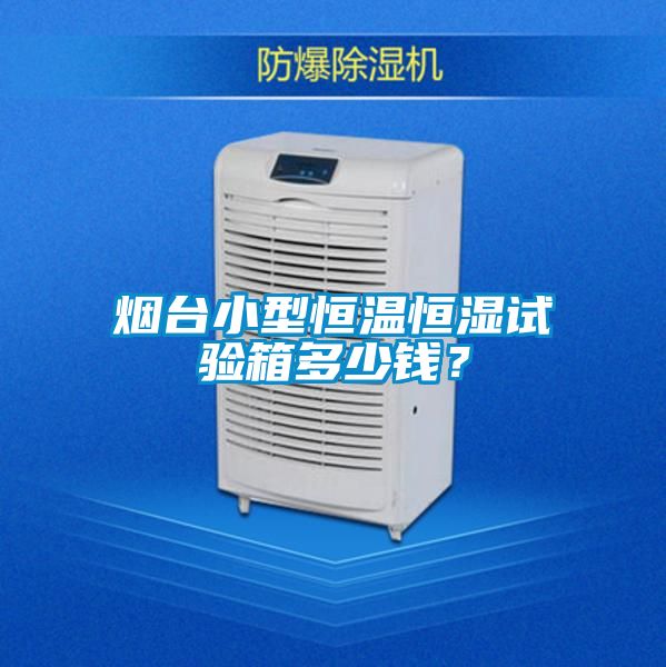 国产精品三级在线观看 烟台小型恒温恒湿试验箱多少钱？