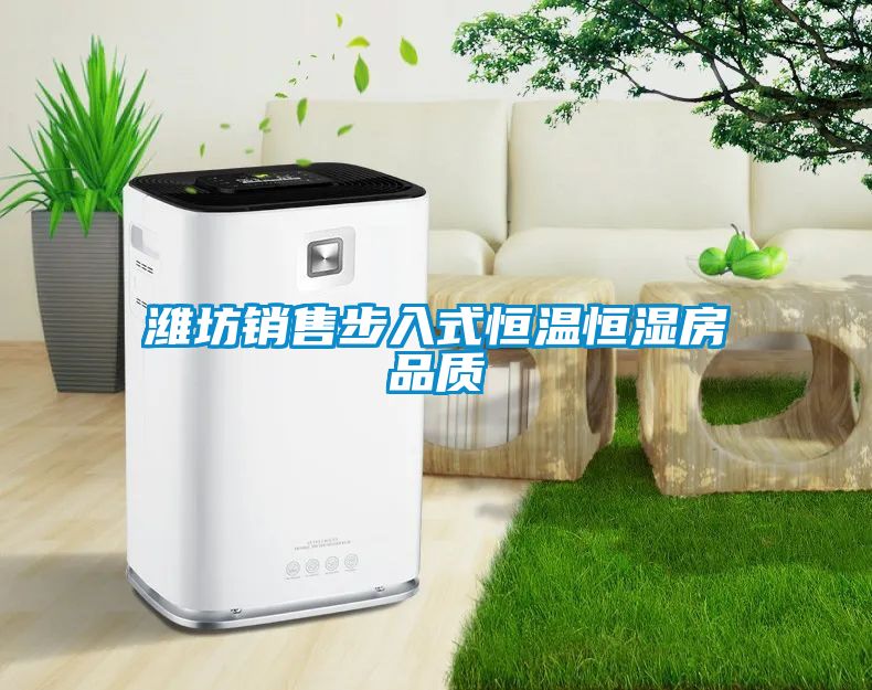 国产精品三级在线观看 潍坊销售步入式恒温恒湿房品质