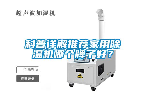 国产精品欧美激情视频 科普详解推荐家用除湿机哪个牌子好？