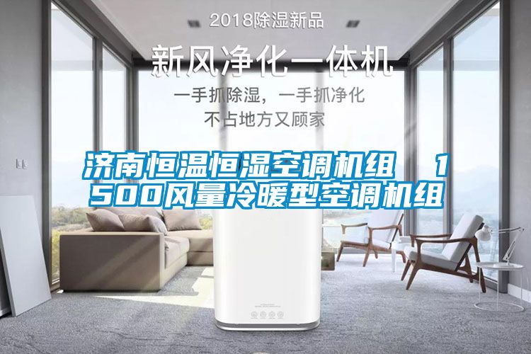 国产精品三级在线观看 济南恒温恒湿空调机组  1500风量冷暖型空调机组