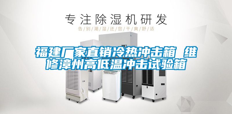国产精品三级在线观看 福建厂家直销冷热冲击箱 维修漳州高低温冲击试验箱