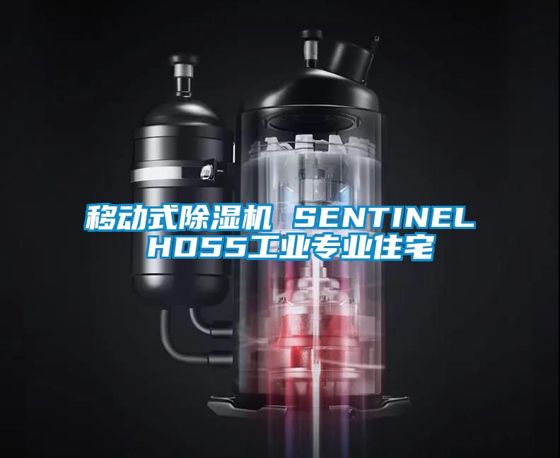 国产精品探花在线观看 移动式除湿机 SENTINEL HD55工业专业住宅