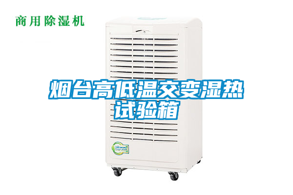 国产精品探花在线观看 烟台高低温交变湿热试验箱
