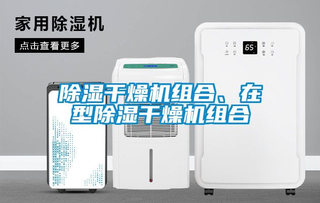 国产精品欧美激情视频 除湿干燥机组合、在型除湿干燥机组合