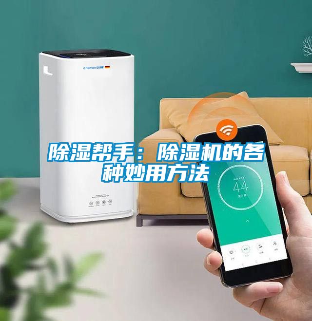 国产精品三级在线观看 除湿帮手：除湿机的各种妙用方法