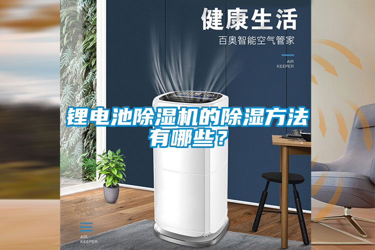 国产精品三级在线观看 锂电池除湿机的除湿方法有哪些？