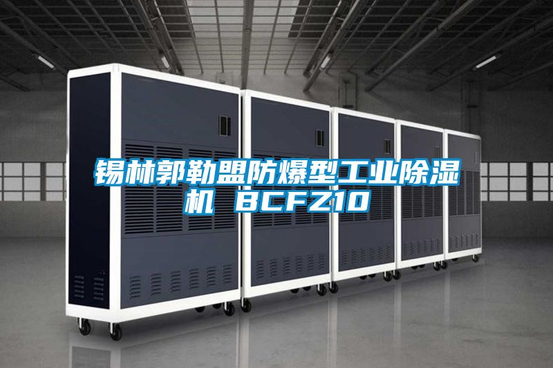国产精品三级在线观看 锡林郭勒盟防爆型工业除湿机 BCFZ10
