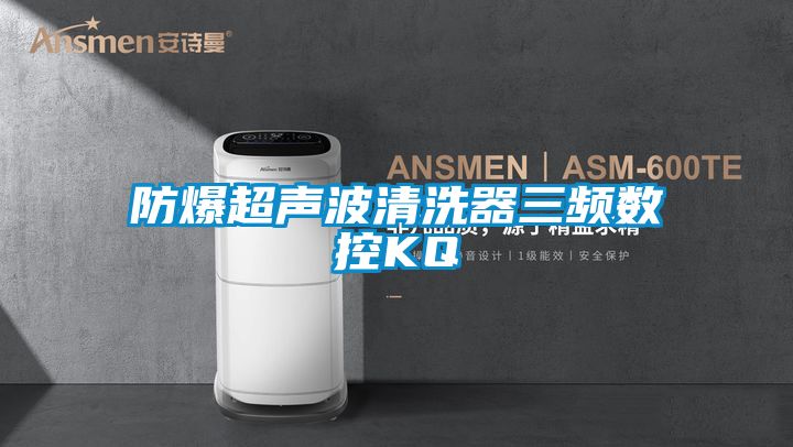 国产精品探花在线观看 防爆超声波清洗器三频数控KQ