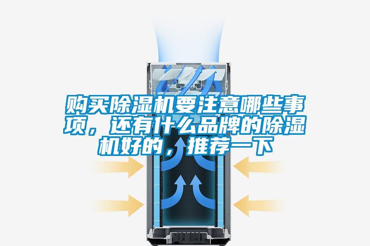 国产精品欧美激情视频 购买除湿机要注意哪些事项，还有什么品牌的除湿机好的，推荐一下