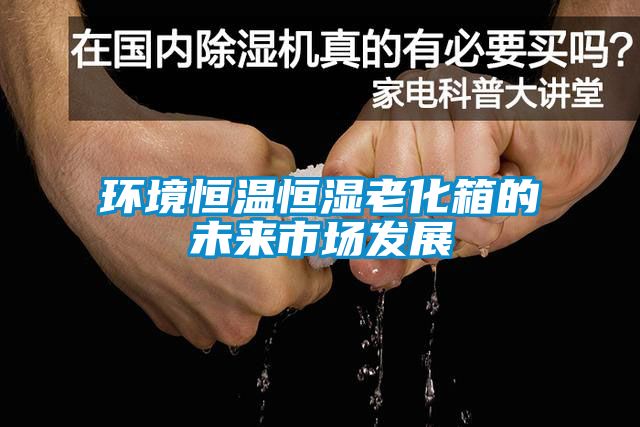 国产精品探花在线观看 环境恒温恒湿老化箱的未来市场发展