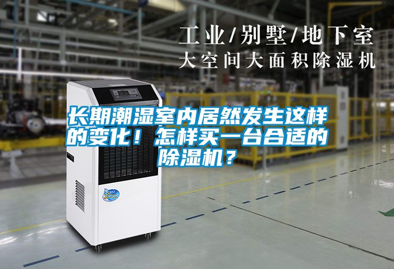 国产精品三级在线观看 长期潮湿室内居然发生这样的变化！怎样买一台合适的除湿机？