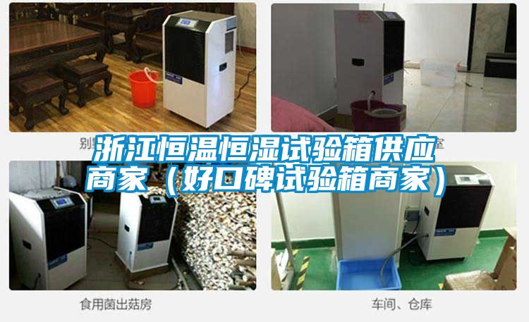 国产精品欧美激情视频 浙江恒温恒湿试验箱供应商家（好口碑试验箱商家）