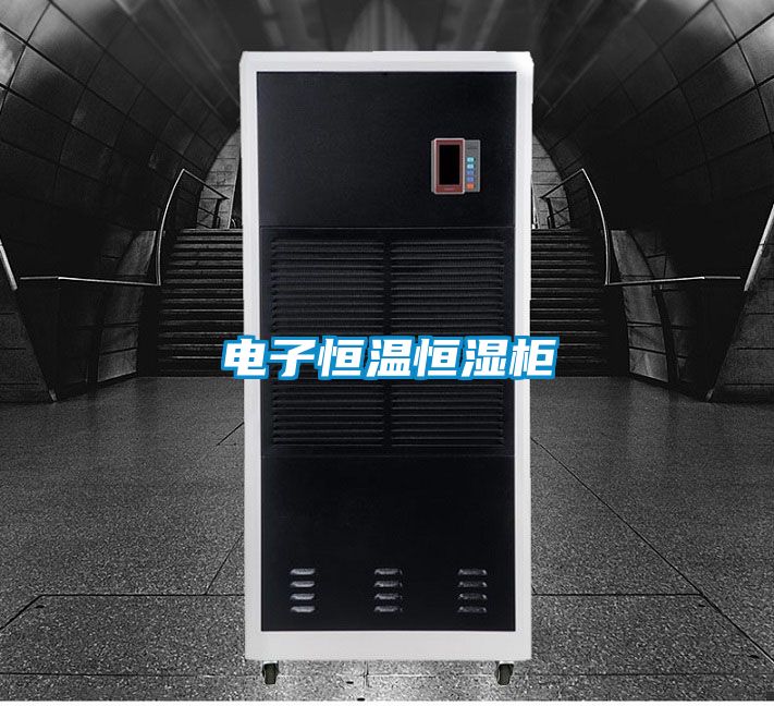 国产精品探花在线观看 电子恒温恒湿柜