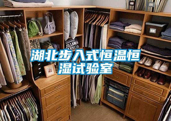 国产精品三级在线观看 湖北步入式恒温恒湿试验室